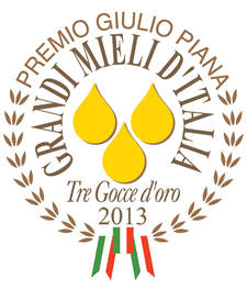 tregocce2013_logo